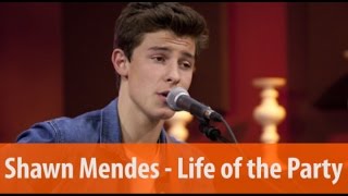 Shawn Mendes - Life of the Party (acoustic)