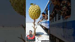 Start To Finish Alone Build Log Cabin Wooden House, How To Build Wooden Cabin, Surviva