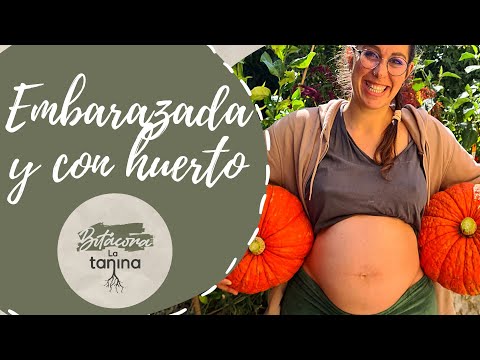 Video: Consejos de jardinería para mujeres embarazadas - Cómo cultivar un huerto durante el embarazo