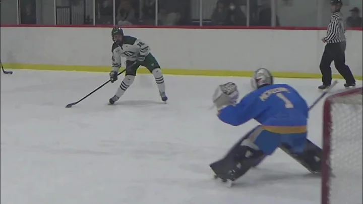 Dane Pyatt goal vs PHA