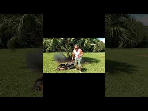 Florida Man Tries to Mow the Lawn with a Gator ππ±