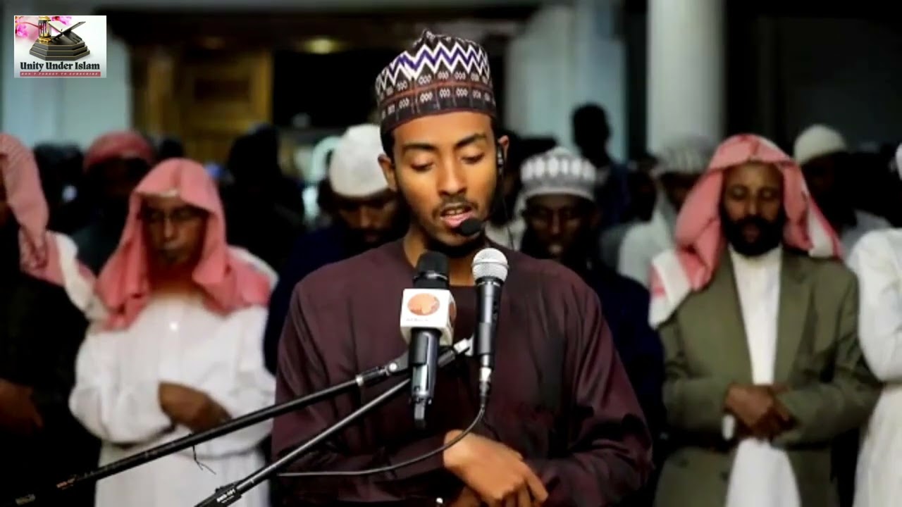 Soul Soothing and Heartwarming Quran | Sh: Afif Mohamed Taj