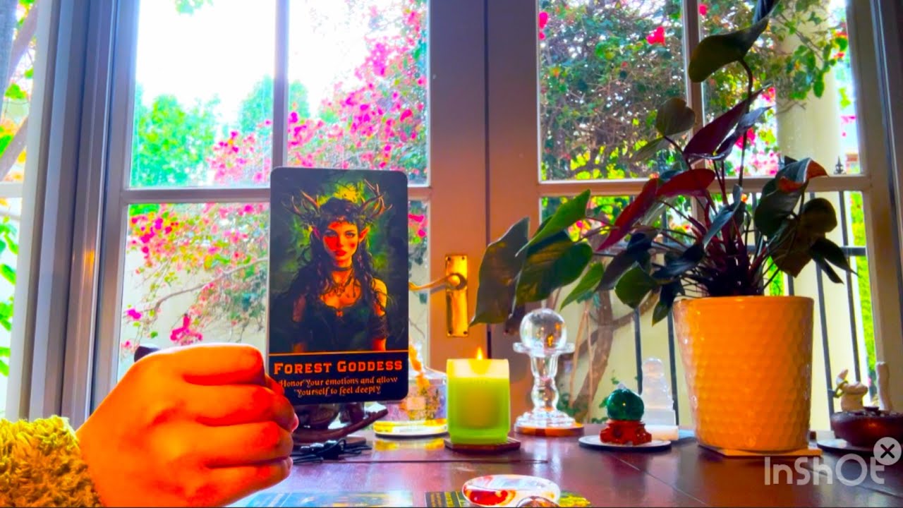 🕯️🍇最近大家如何讨论你? 都在八卦你什么？《塔罗占卜》灵性指引