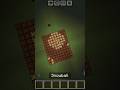 Minecraft viral ticktock hack 🤯💥 #minecraft #minecraftbeauty #gaming