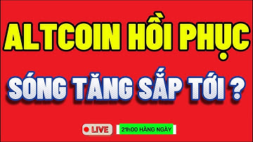 🔴Phân Tích Bitcoin Hôm Nay và Cập Nhật Thị Trường Crypto Mới Nhất Ngày 12/11/2025
