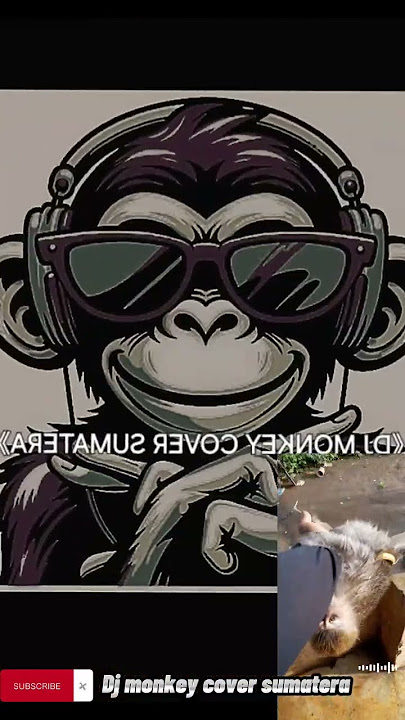 DJ TERBARU VIRAL WOY LAGI SANTAI KAWAN FULL BASS 2025 #djmonkeycoversumatera