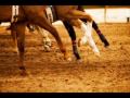 Seduction's Stakes