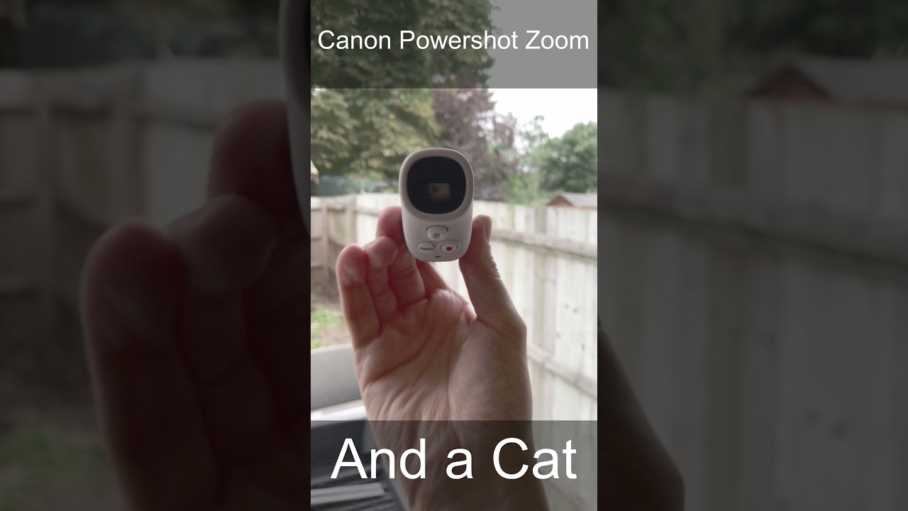 Canon Powershot Zoom and a Cat #shorts - YouTube