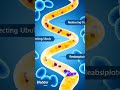 How Kidneys Filter Blood & Produce Urine 3D Medical Animation #kidneyfunction #Shorts #humanbody