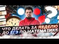 Что делать за неделю до ЕГЭ 2022 по математике и русскому языку?