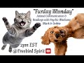 What Your Animal Wants You to Know - Live Readings with Mark &amp; Debbie