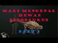 mengenal dinosaurus part 2