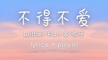 [lyrics/pinyin/engsub]《不得不爱》- Wilber Pan & 弦子 [bu de bu ai]