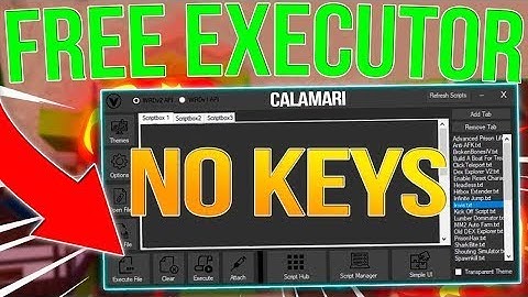 ROBLOX EXECUTOR FOR MAC OS   ROBLOX EXPLOIT FOR MAC OS   NO KEYS! 3