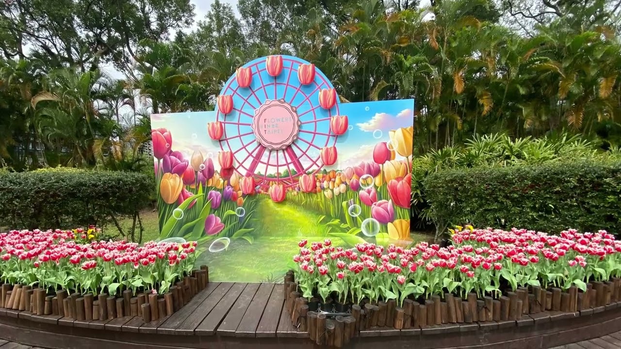 2026 士林官邸鬱金香展（1）