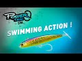 Fiiish  power tail saltwater  swimming action