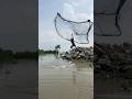 catch a big monoster fish by cast net fishing #fishing #villagepond #castnetfishing #fishingmethod