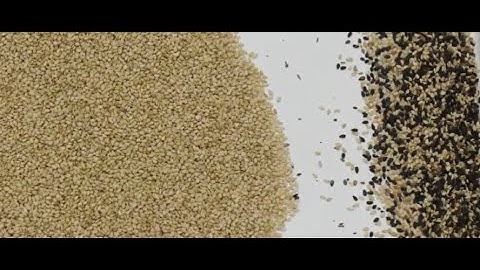 White sesame sorting black out