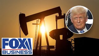 Famous Can Trump slash energy costs by 50%? His first secretary weighs in Wealth