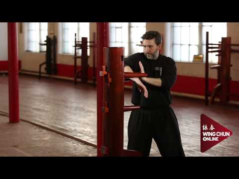 What is Wing Chun?