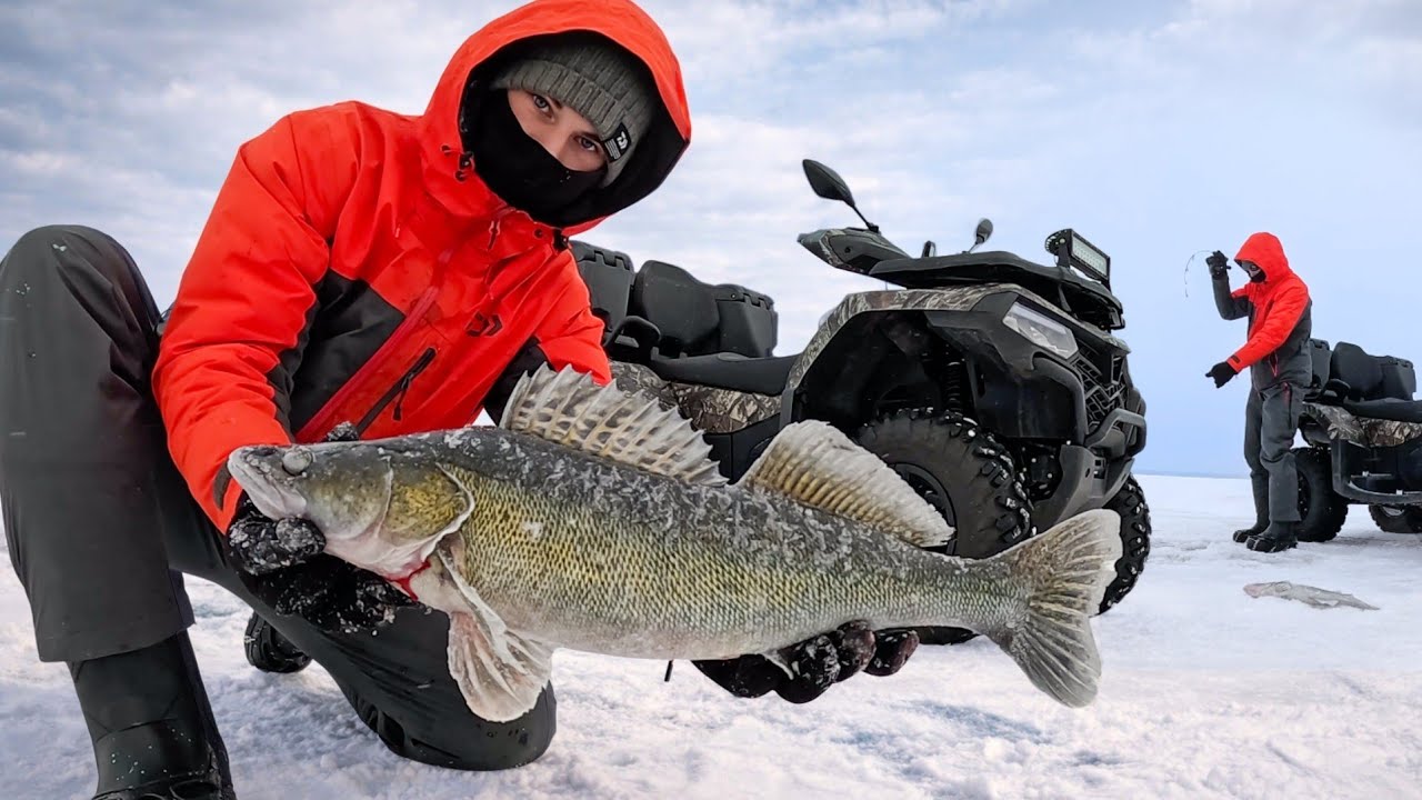 ОПУСТИЛ КАМЕРУ, А ТАМ СУДАК НА СУДАКЕ! ЭТОТ ВИБ УДИВИЛ! Зимняя рыбалка 2026