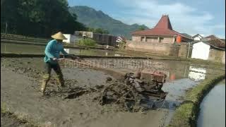 how to level rice fields (nggaru) quickly and effectively