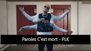 Paroles C'est mort - PLK [son officiel]