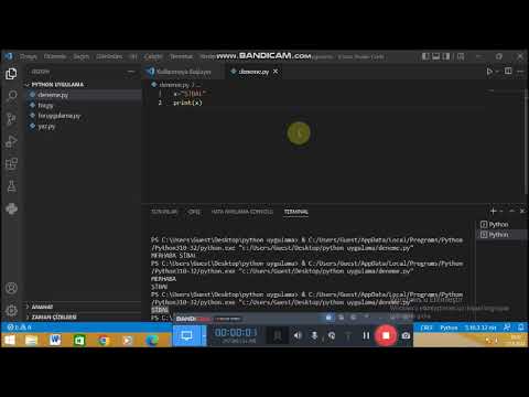 Visual Studio Code İle Python Programlama : Print-İnput Deyimi