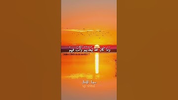 Quran Kareem story 🌸WhatsApp  أجمل قرائه قرآن كريم حالات واتس 🍃 《 سوره الأنفال  》