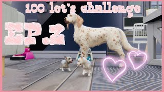 100 PETS CHALLENGE|SIMS 4|EP.2| So much chaos and puppies!