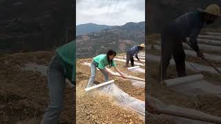 How to Properly Secure Plastic Mulch 🚜🌱