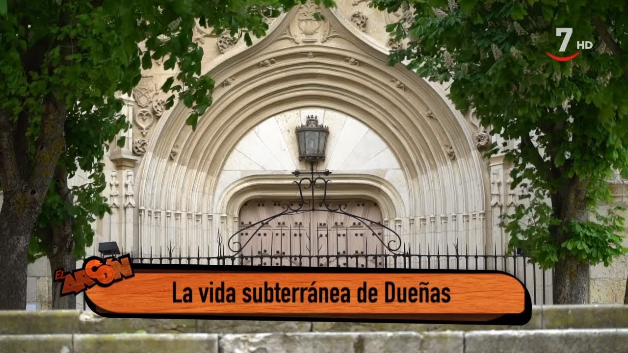 El Arcón (273/ Parte 1).- Vida subterránea en Dueñas la85