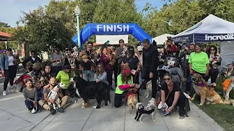 'Wags to Witches' happening this Sunday