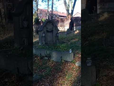 Wideo: Cmentarz luterański w Smoleńsku w Petersburgu: adres, zdjęcie, kto jest pochowany