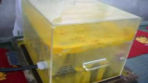 FasFlock Manual Video Full Demo