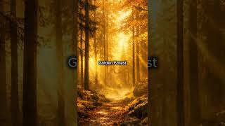 Golden Forest 🌲 A New Framed Art Series | Timeless Calm Gallery