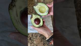 Would you eat avocado with sweet condensed milk?