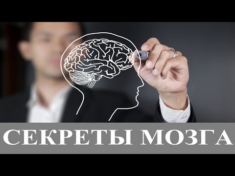 Тайны и секреты мозга. Документальный фильм