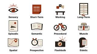 Every Type of Memory Explained