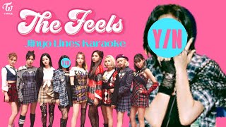 [TWICE] The Feels Karaoke But You Sing Jihyo's Lines | Jihyology