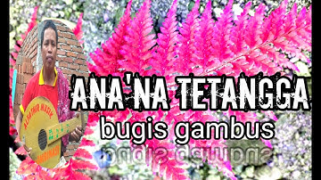 gambus bugis dangdut anana tetangga ridwan Syam