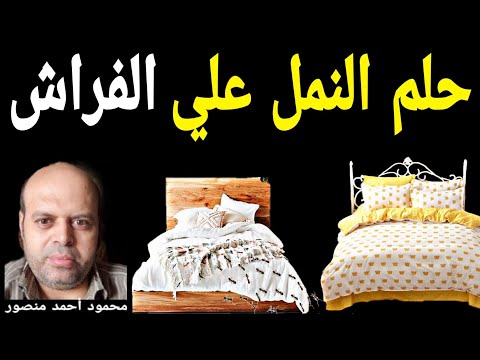 تفسير حلم النمل علي الفراش في المنام محمود منصور تفسير الاحلام