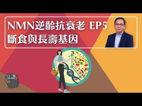 NMN 逆齡抗衰老系列 EP5 : 斷食與長壽基因🧬 | 逆齡抗衰老⏪ | Dr. SAM🥼