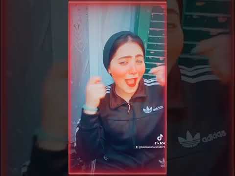 لمواخذا ركبوا الفرس