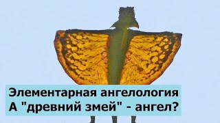 Элементарная ангелология. А змей - ангел?