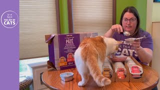 Kirkland Wet Cat Pate Food Review