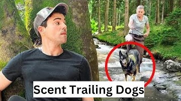 How to Escape a Police Sniffing Dog