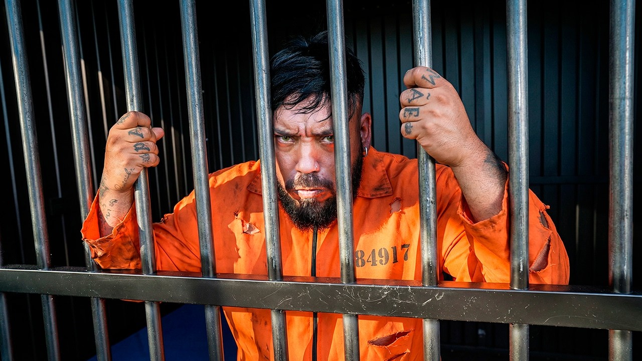 TIVE QUE PRENDER O REI DO GADO POR AGRESSÃO