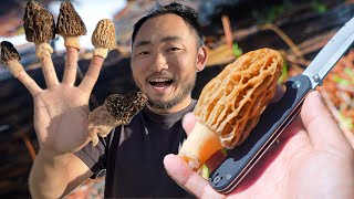 Top 5 Tips on Where To Find MORELS and How to Properly Cook Them by Outdoor Chef Life 71,039 views 4 days ago 37 minutes