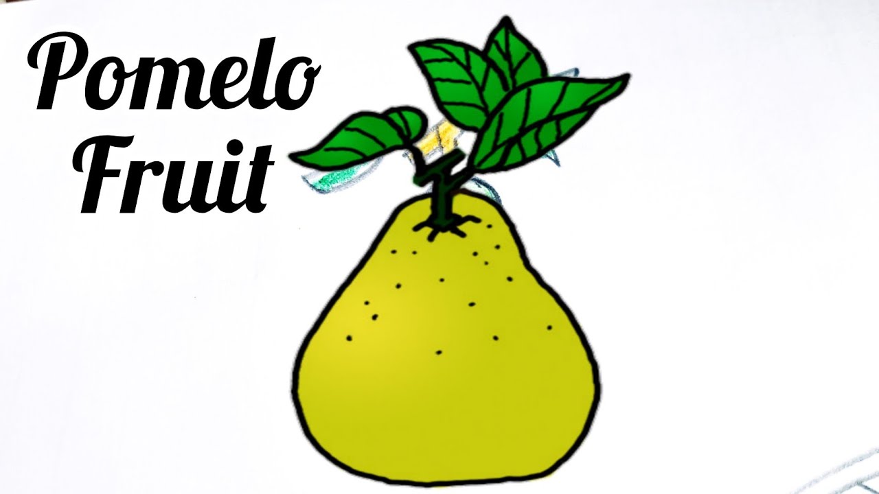 Pomelo Drawing How To Draw Very Simple For Kids 💝💖 YouTube